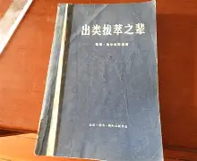 澳客体育-大伙有知道左神和戴维切割了吗(大伟在电影最精彩的时候却去上厕所为什么)