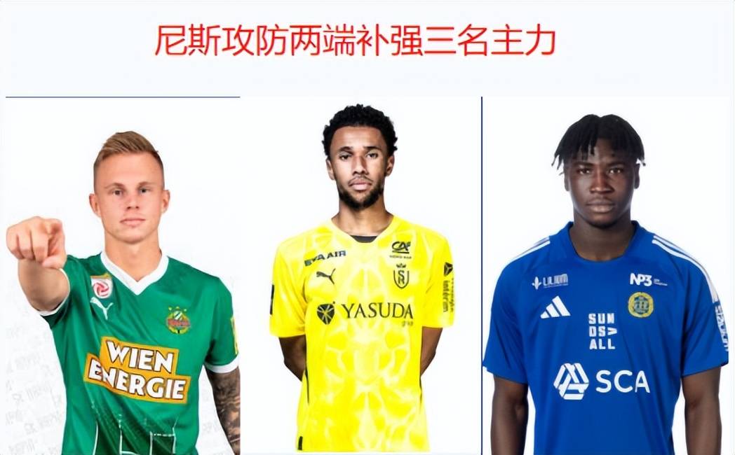 包含尼斯球员受伤退出比赛，球队战力受到影响的词条